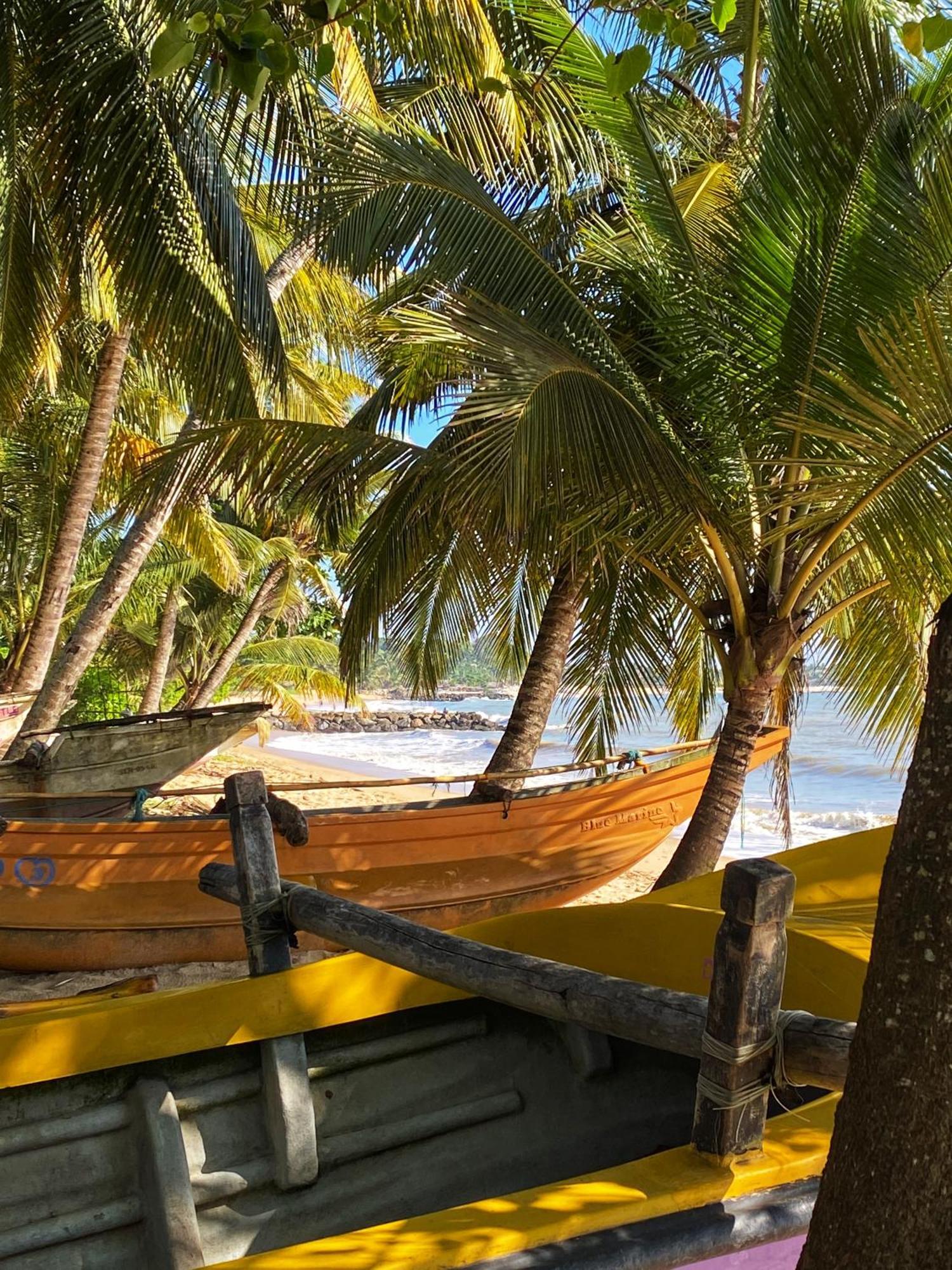 Lagoon Boutique Hotel Kanattagoda Экстерьер фото
